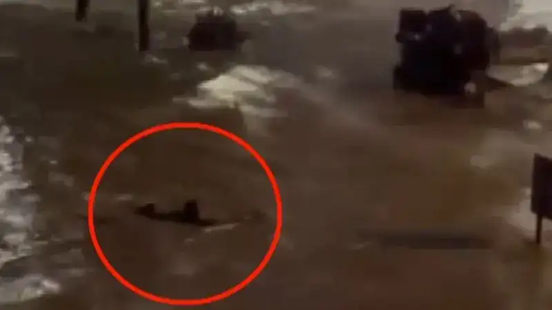 Sarıyer'de göle dönen caddede akıntıya kapılmamak için yüzdü