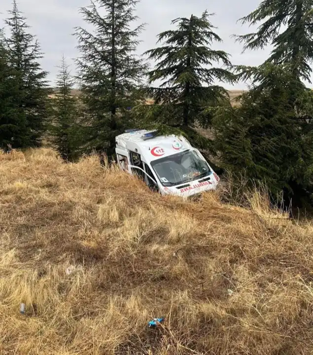 Ambulans yoldan çıktı; 4 yaralı