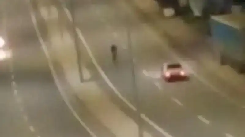 Tehlikeye aldırış etmeden yolun ortasında yürüdü