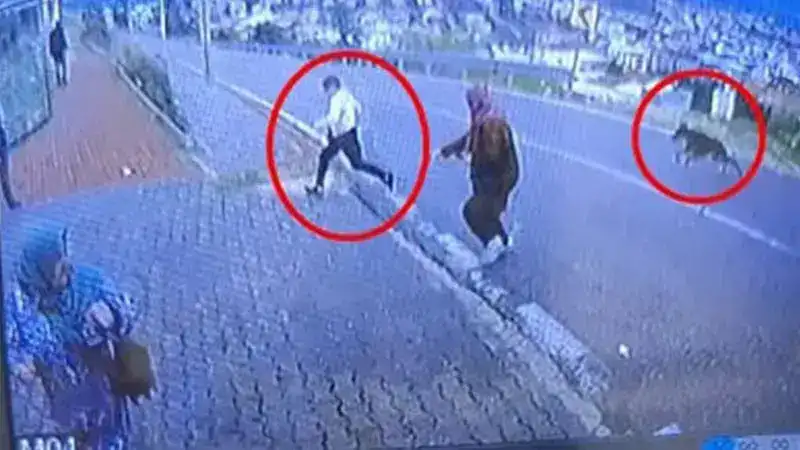 Köpekten kaçarken yüksekten atlayan çocuğun bacağı kırıldı