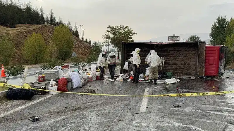 al ve arı kovanı yüklü kamyonet devrildi; 3 yaralı