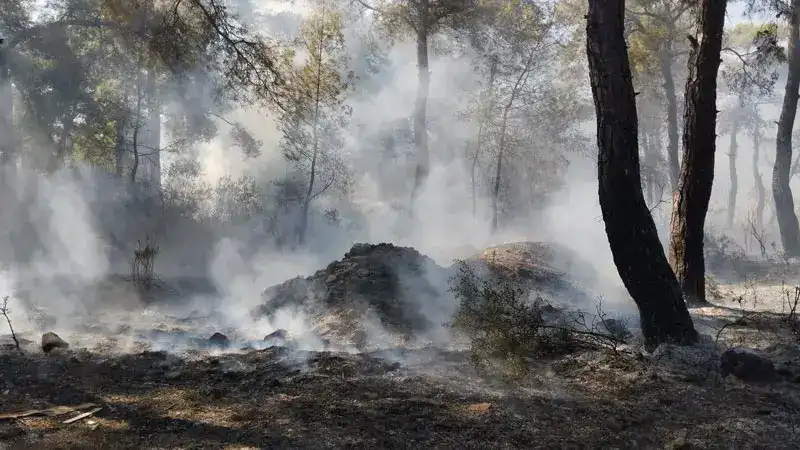 Antalya'da orman yangını