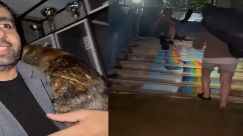 Arnavutköy’de su basan dairedeki kedileri muhtar kurtardı