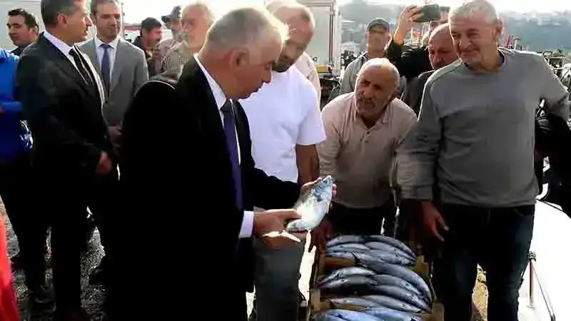 Şile’de palamut bolluğu; kasası 600 liradan satıldı