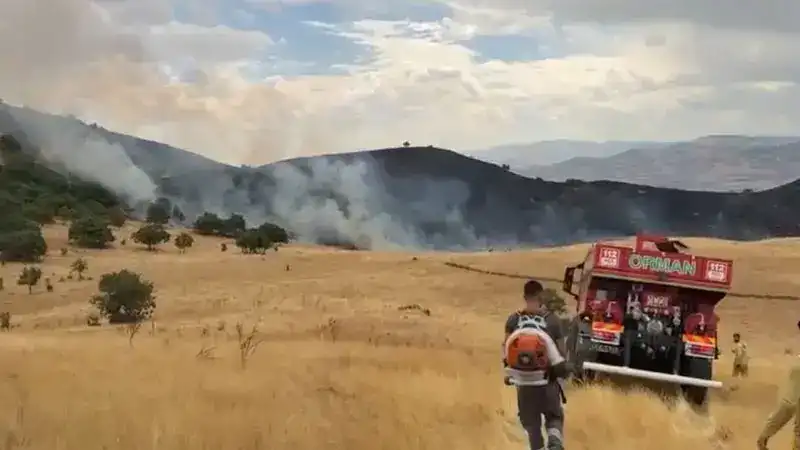 Tunceli'nin Mazgirt ilçesinde kuru otlarla kaplı alanda çıkan ve rüzgarın etkisiyle büyüyen örtü yangınına ekipler ve