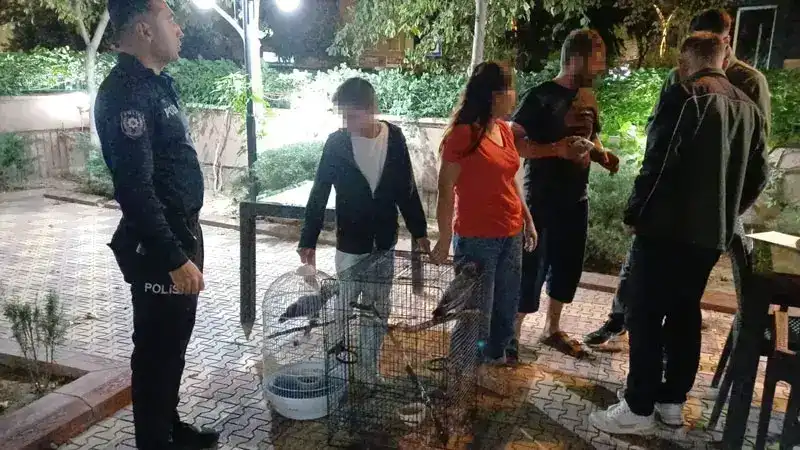 Belgesiz Afrika gri papağanı satışına 30 bin TL ceza