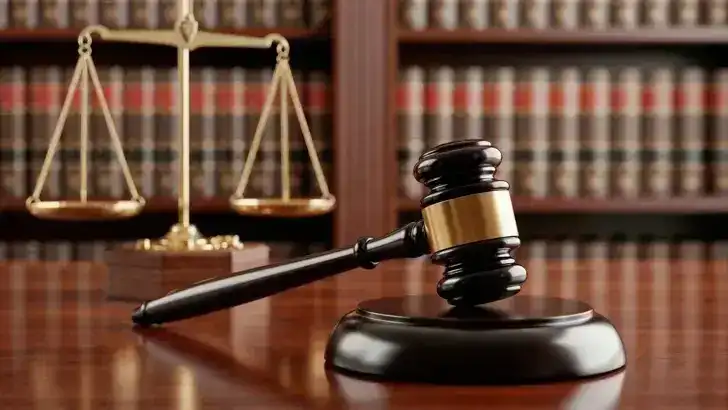 Ardan Zentürk hakkında 'Cumhurbaşkanına hakaret' suçundan soruşturma başlatıldı
